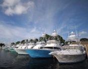 Photo Courtesy of Bay Point Marina